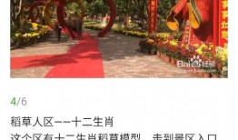 岑溪红豆网最新爆料,揭秘最新热点事件内幕