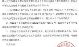 最新军需爆料公告,军需爆料公告深度解读