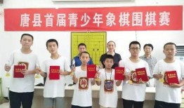 象棋马泽平最新爆料,揭秘象棋界不为人知的秘密