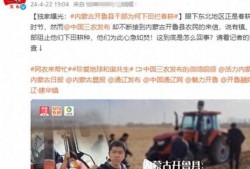 石头镇最新爆料新闻报道,揭秘神秘事件背后的真相