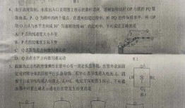 全国大狗爆料最新消息视频,最新视频揭秘惊人内幕