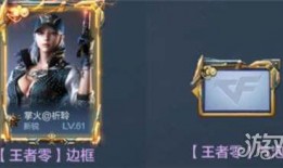 最新爆料王者轮回视频,揭秘神秘视频背后的传奇故事