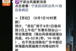 台风苏拉最新爆料消息视频,视频揭秘超强台风来袭前的紧张局势