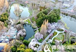 中山公园最新爆料信息网,揭秘公园焕新背后的故事